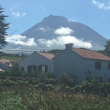 Home Pico - Casa Dos Cedros Criacao Velha Екстериор снимка