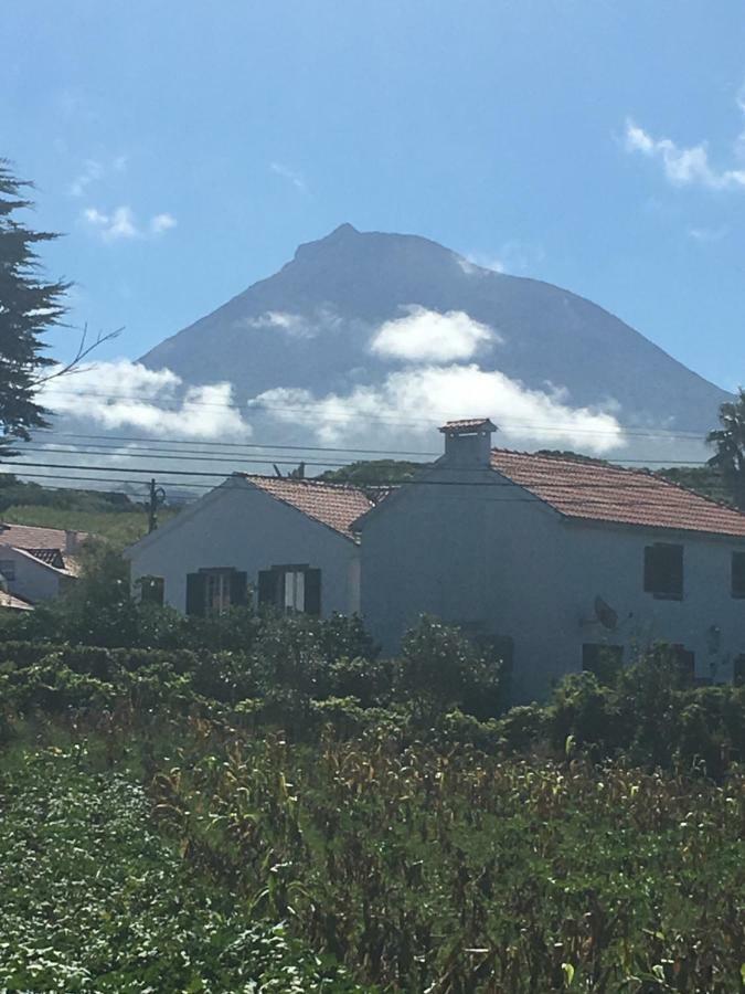 Home Pico - Casa Dos Cedros Criacao Velha Екстериор снимка